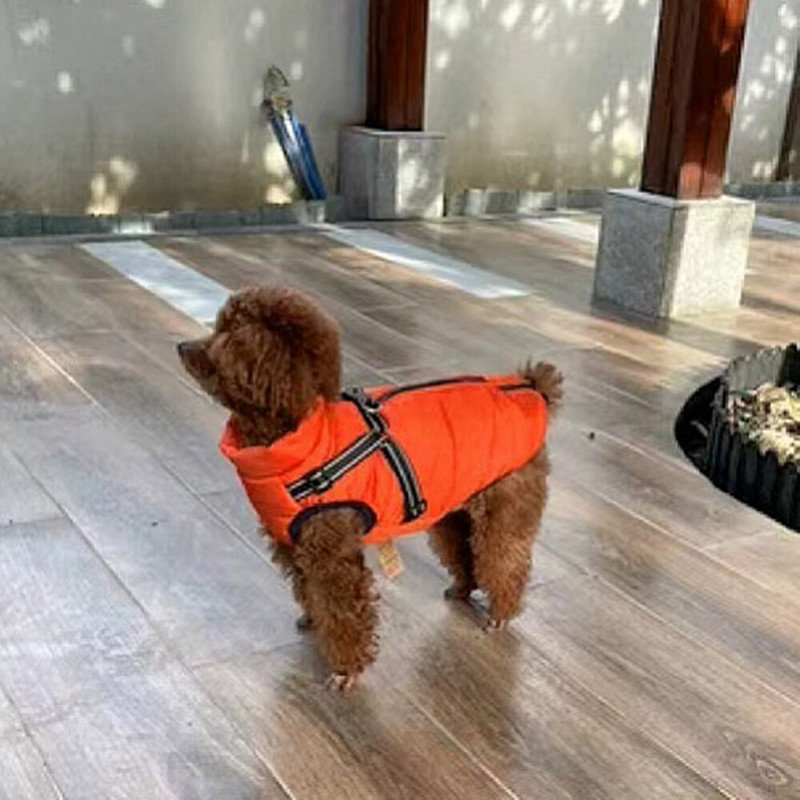 Χειμερινά παλτά για σκύλους Άνετο αντανακλαστικό μπουφάν με λουρί για κρύο καιρό, ζεστό μπουφάν για σκύλους για κουτάβια, μεσαίου μεγέθους, γάτα
