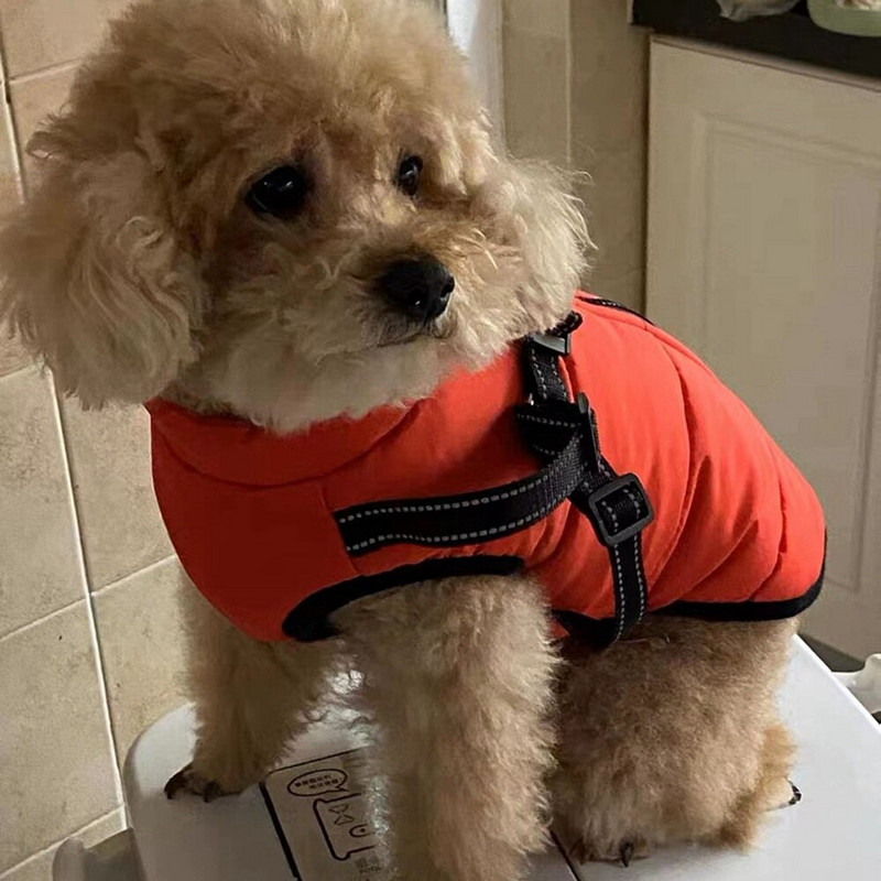 Χειμερινά παλτά για σκύλους Άνετο αντανακλαστικό μπουφάν με λουρί για κρύο καιρό, ζεστό μπουφάν για σκύλους για κουτάβια, μεσαίου μεγέθους, γάτα