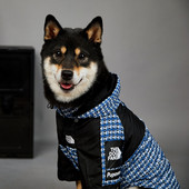 TheDogFace Polyester Dog Raincoat Ρυθμιζόμενο μπουφάν Άνετη στολή BlueRivet for Puppy Cute Dogs Lovely AccessoriesSupplier