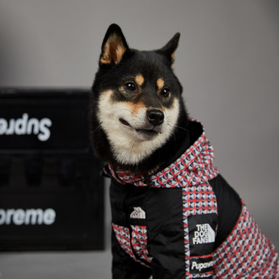 TheDogFace Polyester Dog Raincoat Ρυθμιζόμενο μπουφάν Άνετη στολή BlueRivet for Puppy Cute Dogs Lovely AccessoriesSupplier