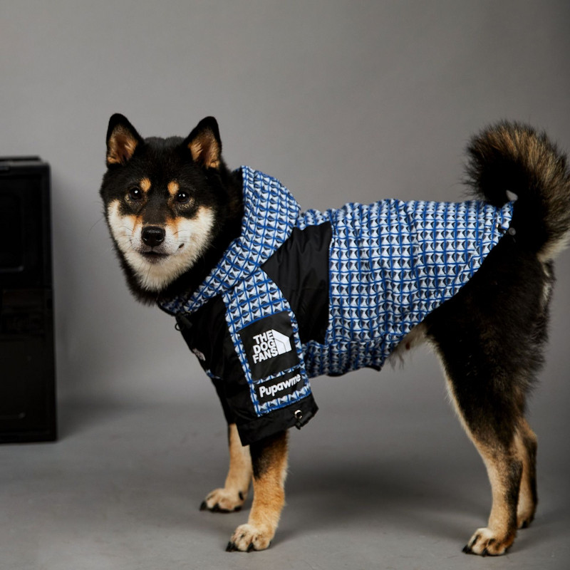 TheDogFace Pelernă de ploaie pentru câini din poliester Jachetă reglabilă Costum confortabil BlueRivet pentru cățeluș Câini drăguți Accesorii minunate Furnizor