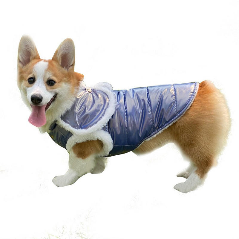 2021. aasta uue disainiga lemmikloomade puuvillase polsterdatud mantel veekindel koerajope tuulekindel lumeülikond väikestele/keskmistele/suurtele koertele Ropa Para Perritas