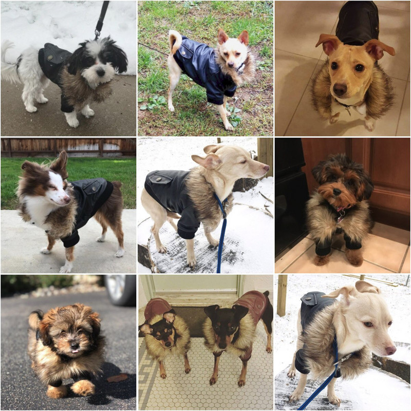 Kožni kaputi za pse Vodootporni zimski kaput za pse Puppy Jakne za male do srednje pse odjeća za kućne ljubimce odjeća za pse zimska