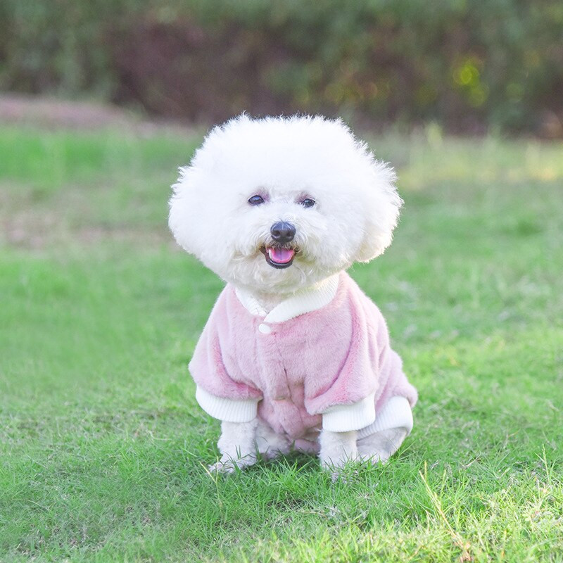 Haină drăguță pentru câini din lână pentru câini de talie mică Jachetă de iarnă îmbrăcăminte caldă pentru animale de companie pentru haine pentru câini pulover haine chihuahua