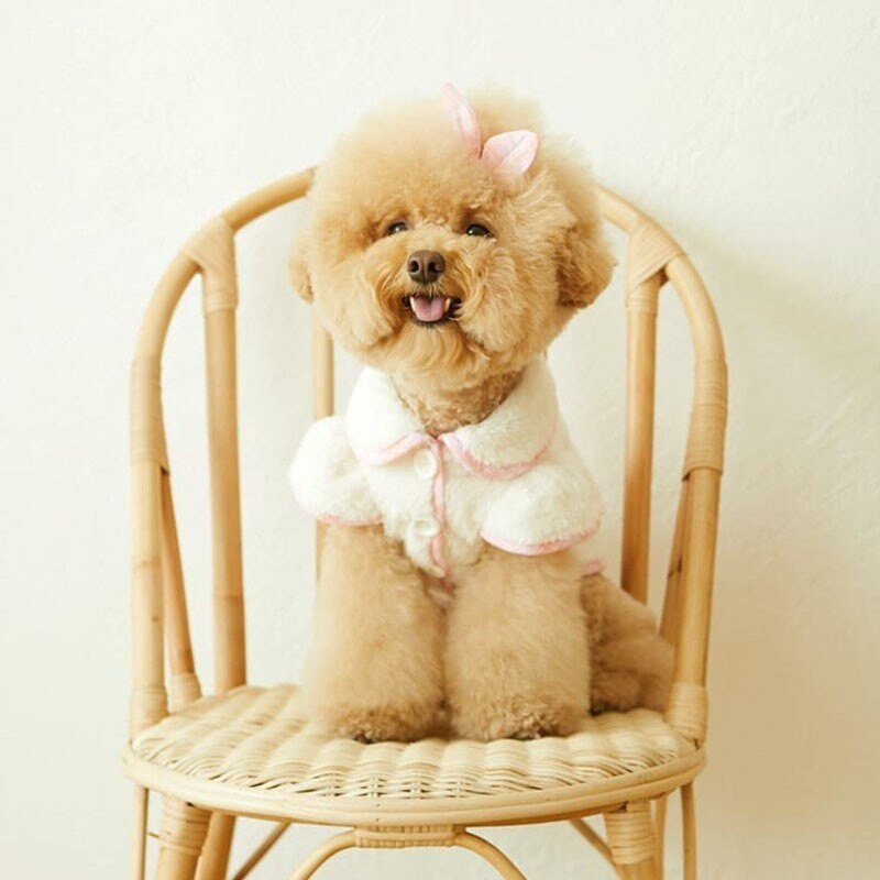 Λούτρινο παλτό σκύλου Φθινοπωρινά χειμωνιάτικα ρούχα για σκύλους Γλυκό ροζ φιόγκο πουλόβερ σκύλου με κουκούλα με κουκούλα για κατοικίδια για μικρά σκυλιά Yorkshire Ropa Perro