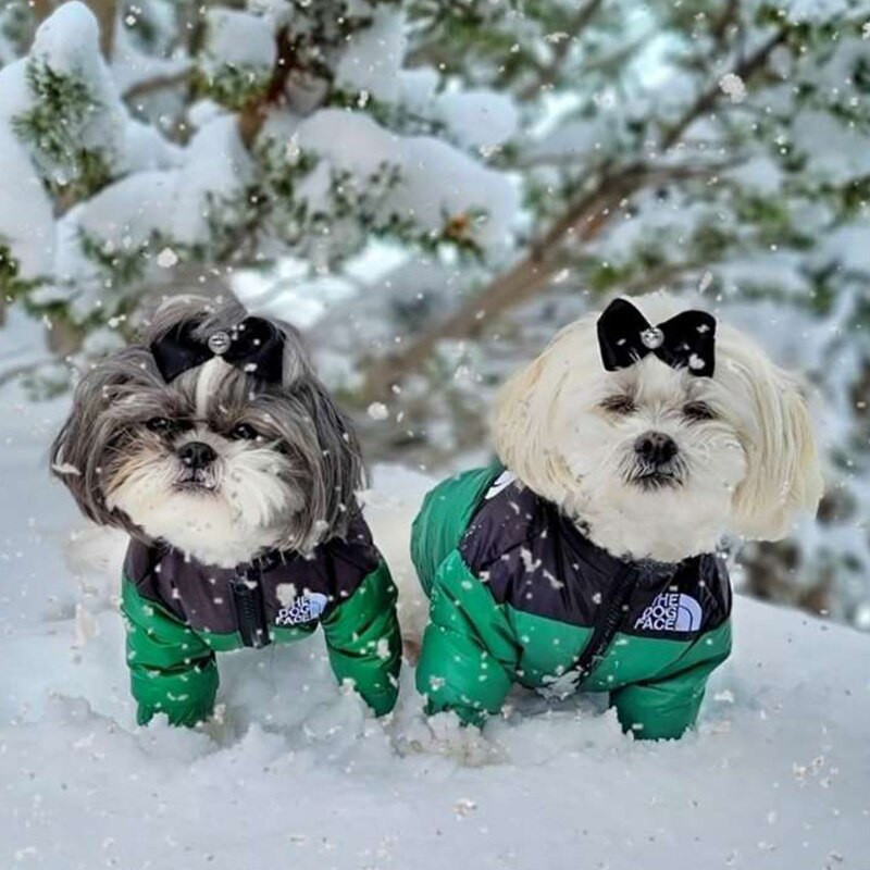 S-5XL Lice psa Zimska odjeća za kućne ljubimce Pseća puhasta jakna Topli debeli kaput za pse Kostim za kućne ljubimce Odjeća za francuskog buldoga Puppy prsluk za pse