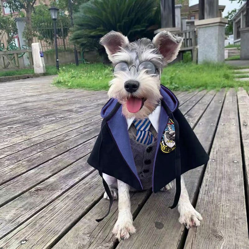 Potter Cat Cape Puppy Shawl Halloweeni lemmiklooma kostüüm koera komplekt.