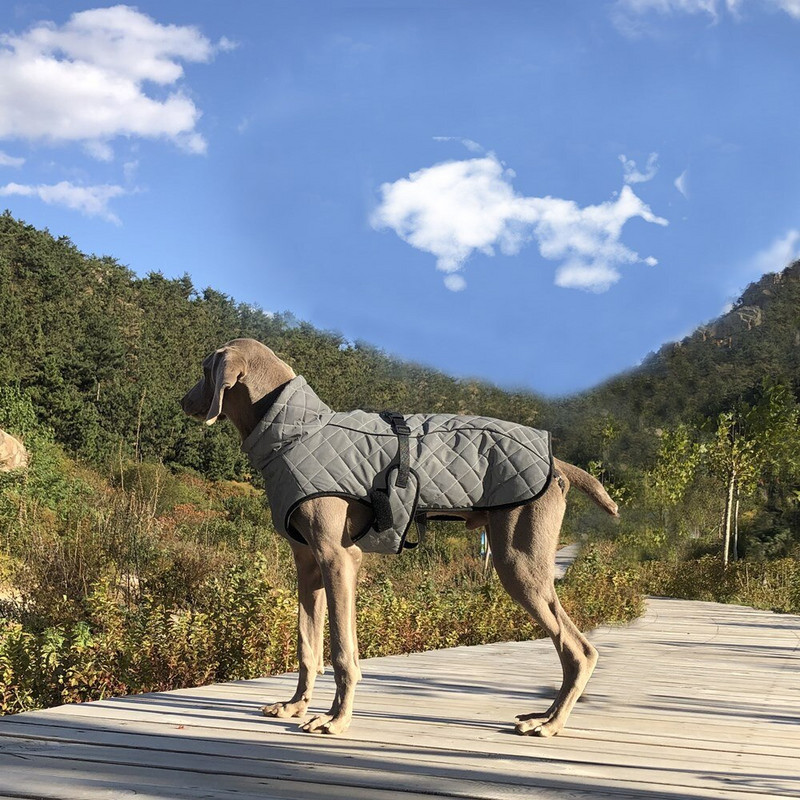 Pet Charge jope koera vest Talvine hubane veekindel tuulekindel täielikult helkurriided suur koeramantel keskmise suurusega koertele kostüüm