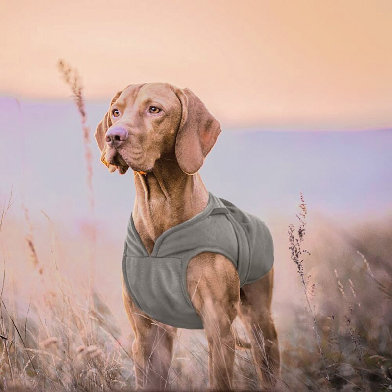 Benepaw kaput za pse za hladno vrijeme, zimski, udoban, topla jakna od flisa, otporna na vjetar, prsluk za male srednje velike pse