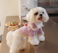 Νέο πουλόβερ για κατοικίδια Πουλόβερ φράουλα με μπάλα Ρούχα σκύλου Ρούχα για γάτα Ζεστά μακαρόν πλεκτά πουλόβερ επώνυμα ρούχα για σκύλους Πουλόβερ για κατοικίδια