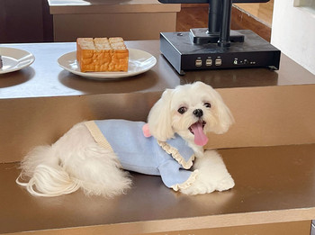 Νέο πουλόβερ για κατοικίδια Πουλόβερ φράουλα με μπάλα Ρούχα σκύλου Ρούχα για γάτα Ζεστά μακαρόν πλεκτά πουλόβερ επώνυμα ρούχα για σκύλους Πουλόβερ για κατοικίδια