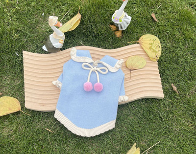 Νέο πουλόβερ για κατοικίδια Πουλόβερ φράουλα με μπάλα Ρούχα σκύλου Ρούχα για γάτα Ζεστά μακαρόν πλεκτά πουλόβερ επώνυμα ρούχα για σκύλους Πουλόβερ για κατοικίδια