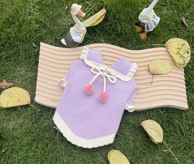 Νέο πουλόβερ για κατοικίδια Πουλόβερ φράουλα με μπάλα Ρούχα σκύλου Ρούχα για γάτα Ζεστά μακαρόν πλεκτά πουλόβερ επώνυμα ρούχα για σκύλους Πουλόβερ για κατοικίδια