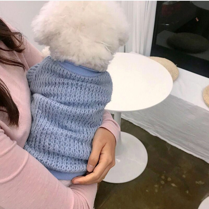 Lemmikloomariided Sügis Talv Keskmine Väike Koer Kootud Kampsun Mood Sall Armas mantel Kassipoeg Kutsikas Armas Kardigan Yorkshire Puudel