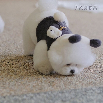 Panda Bear Сладко облекло за домашни кучета Зимно руно Топли жилетки за кучета Палта с каишка за малки и средни кучета Облекло Chihuahua Perro
