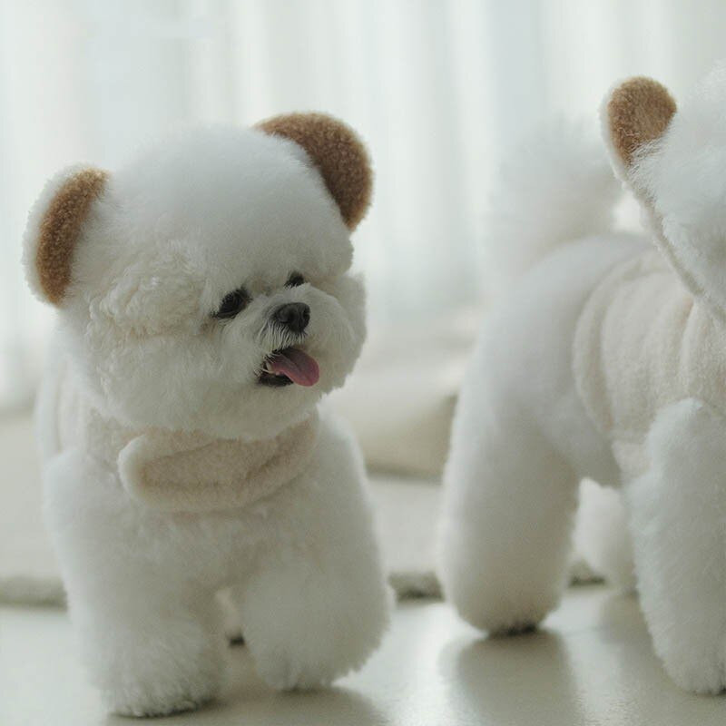 Oblečenie pre psov s medveďom panda, roztomilé, zimné flísové teplé vesty pre psov, kabáty s vodítkom pre malé a stredné psy, oblečenie pre čivavu a pero.