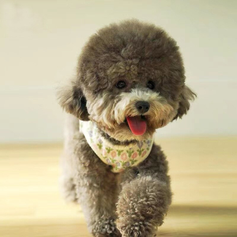 Talvised kootud lillelised koerariided väikestele koertele kampsun kassivest koera jope nööbid INS magus soe koeramantel Lemmikloomatarbed kutsikas