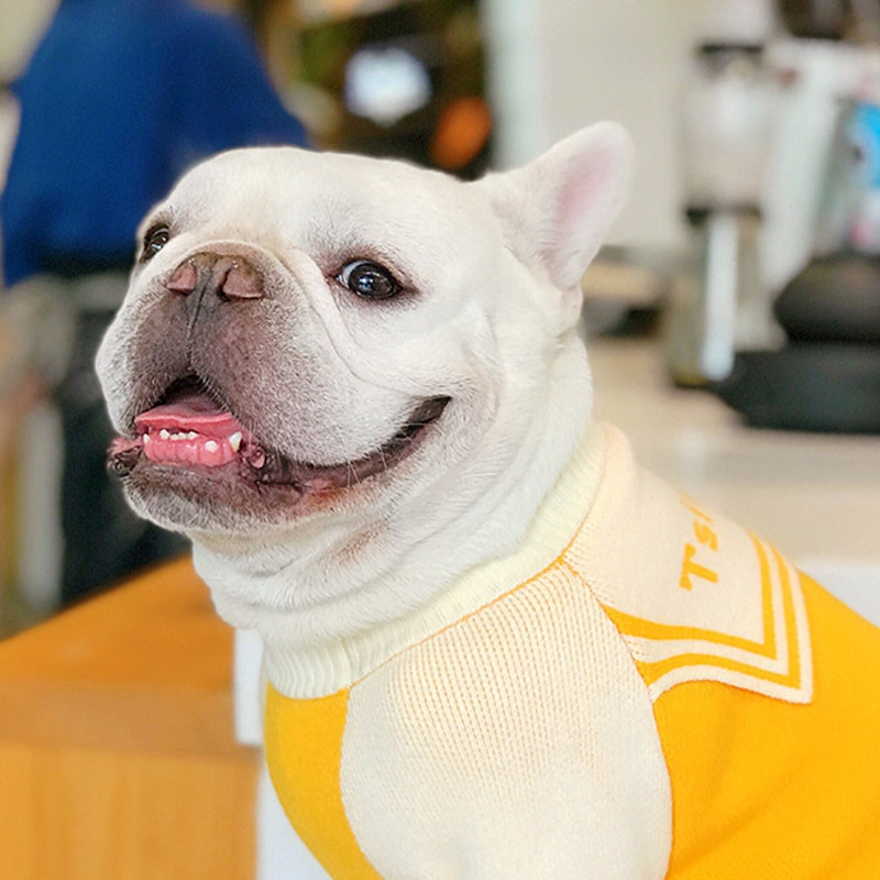 2021. aasta koerakostüüm, sügis, talv, soe mood Bulldogi mantel jakk, väike, keskmine, koer, kass, kampsun, armastus, kudumine, riided