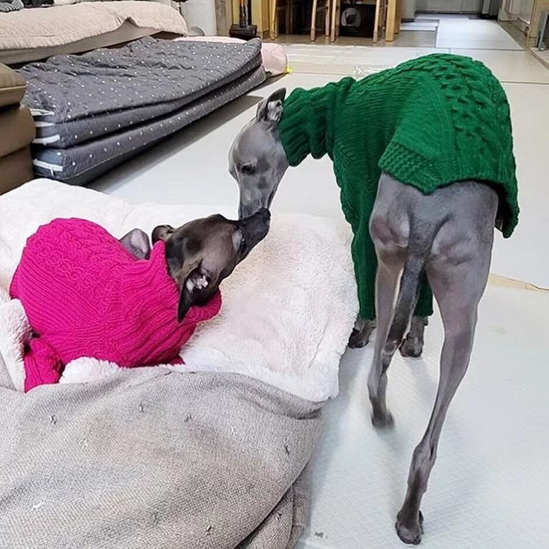 Maži ir vidutiniai šunų drabužiai rudenį/žiemą šilti šunų megztiniai Whitbit italų kurtų drabužiai šunų kostiumai šunų priedai