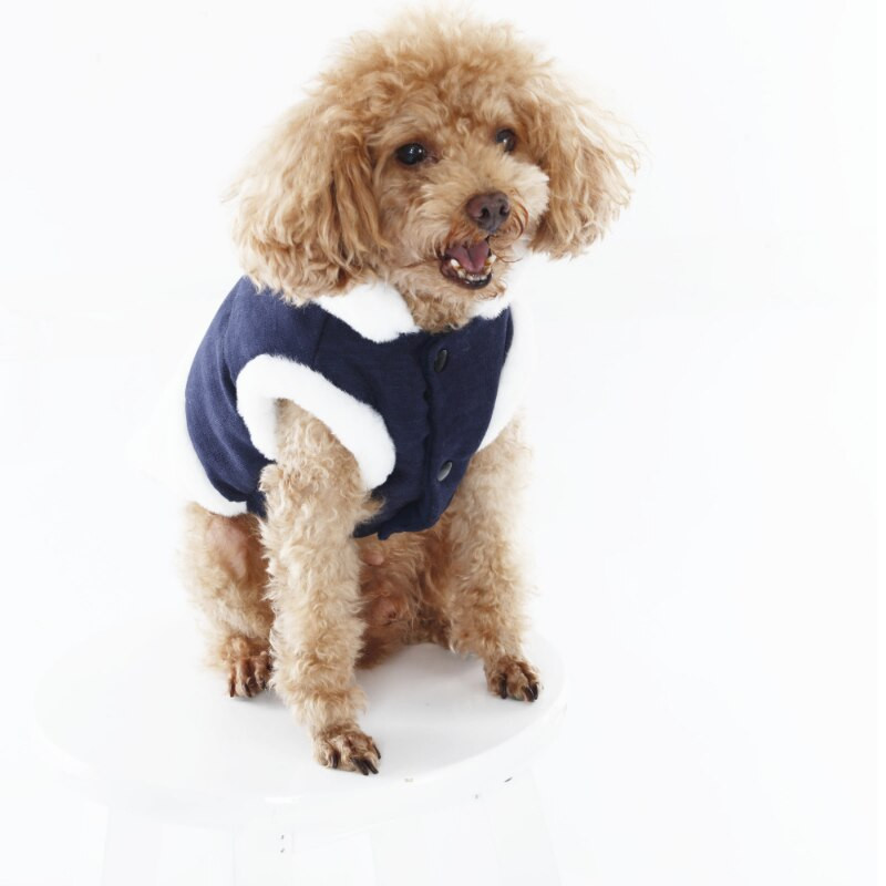 Talvised soojad koeramantlid väikestele koertele Kutsikavest Lemmikloomarõivad Chihuahuale Prantsuse buldogi koeramantel jakk Mascotas