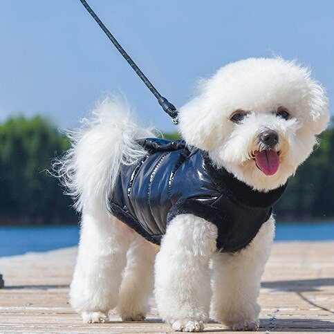 Haina pentru câini Gros, iarnă, caldă, fleece, cățeluș, jachetă pentru câini de talie mică, salopetă impermeabilă pentru câini, îmbrăcăminte chihuahua