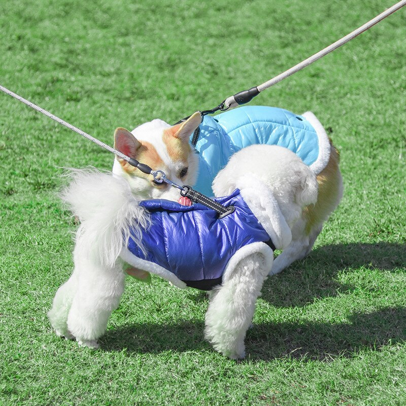 Haina pentru câini Gros, iarnă, caldă, fleece, cățeluș, jachetă pentru câini de talie mică, salopetă impermeabilă pentru câini, îmbrăcăminte chihuahua