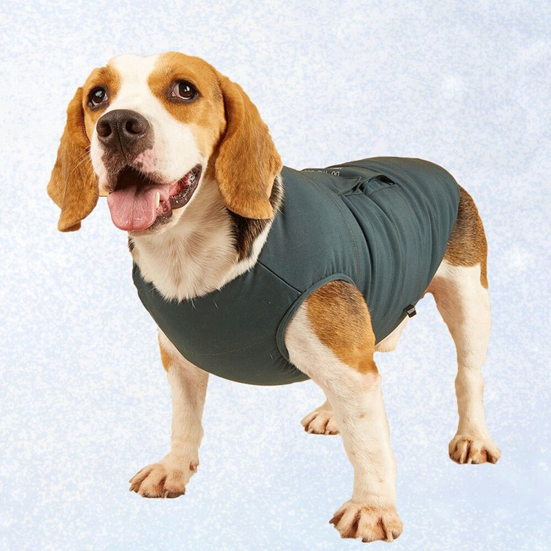 Talvine koera külma ilmaga mantel hubane veekindel tuulekindel koera jope paks polsterdatud soe mantel vest riided väikesele keskmisele suurele koerale