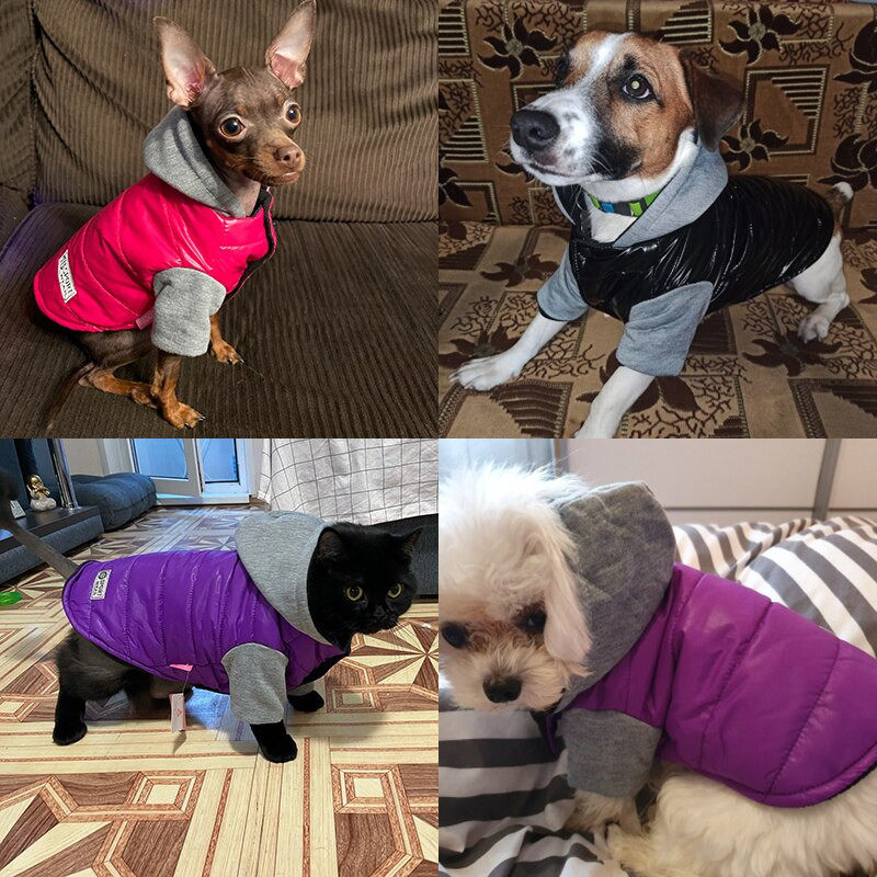 Veekindlad talvised lemmikloomariided väikestele koertele Paks soe kutsikas kass koera jope Chihuahua prantsuse buldogi riided kapuutsiga