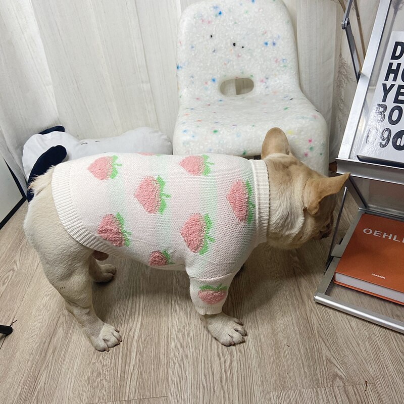 Roztomilý sveter s broskyňovým vzorom pre psov, oblečenie pre psov