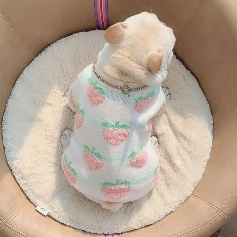 Roztomilý sveter s broskyňovým vzorom pre psov, oblečenie pre psov
