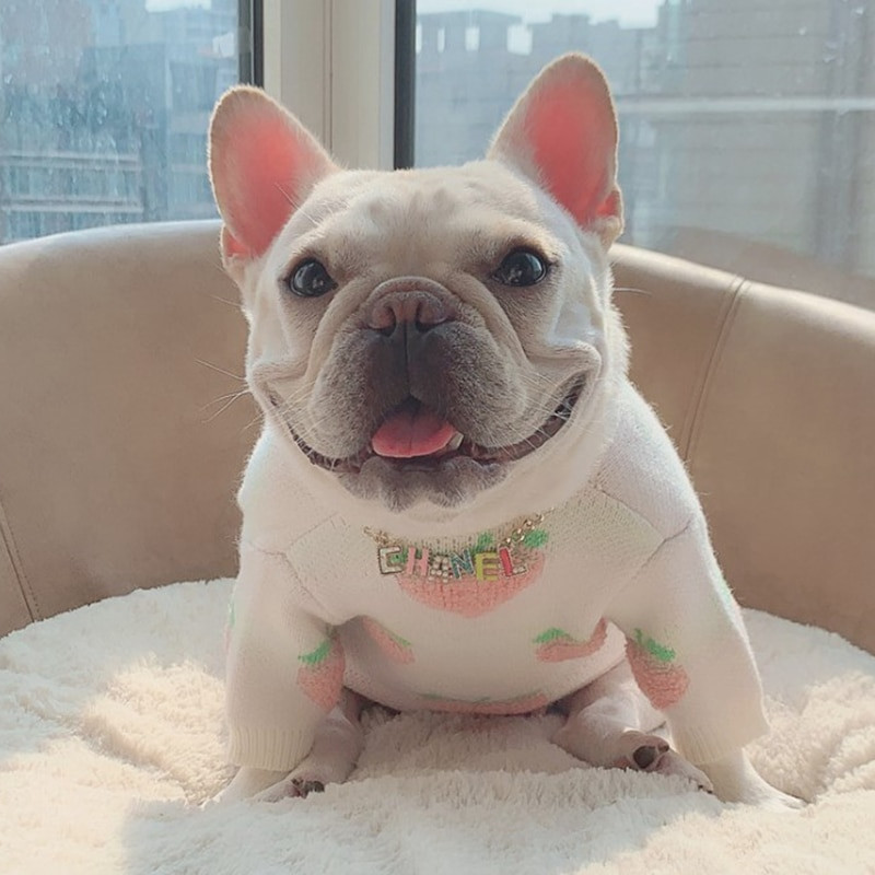 Roztomilý sveter s broskyňovým vzorom pre psov, oblečenie pre psov