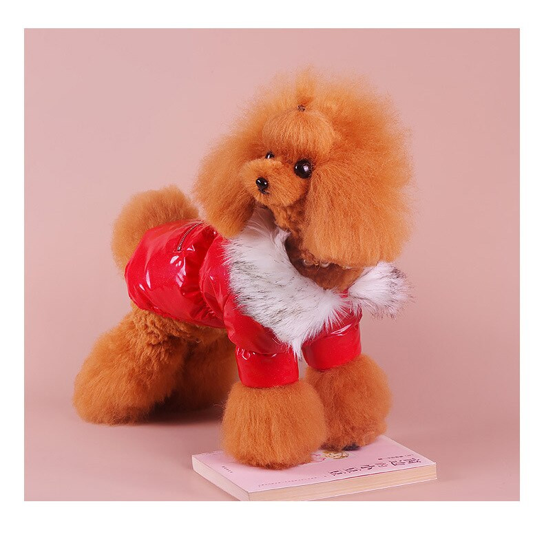 Šteniatko Dog Roztomilé zahusťovacie vrchné oblečenie Oblečenie pre malých psov Jesenné a zimné oblečenie pre domáce zvieratá Teplá bavlnená podšívka pre psov