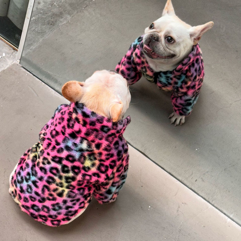 Zimné oblečenie pre psov s leopardím vzorom pre malé psy, oblečenie pre domáce zvieratá, francúzsky buldoček, teplá bunda pre yorkshirských tyrkysov, flísový kabát PC1808