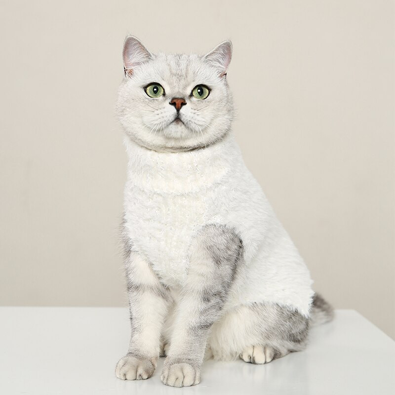 UFBemo koera kampsun kassi taks Teckel Turtleneck kootud venitatud pullover Riided Valge karvane kostüüm soe pehme lemmiklooma kutsikas