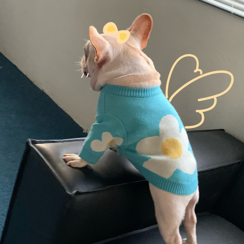 Haine pentru câini cu flori albastre Pulover tricotat pentru animale de companie Haine de toamnă de iarnă Teddy Cat Cămașă de fund Trage de cățeluș Chihuahua Pulover cald