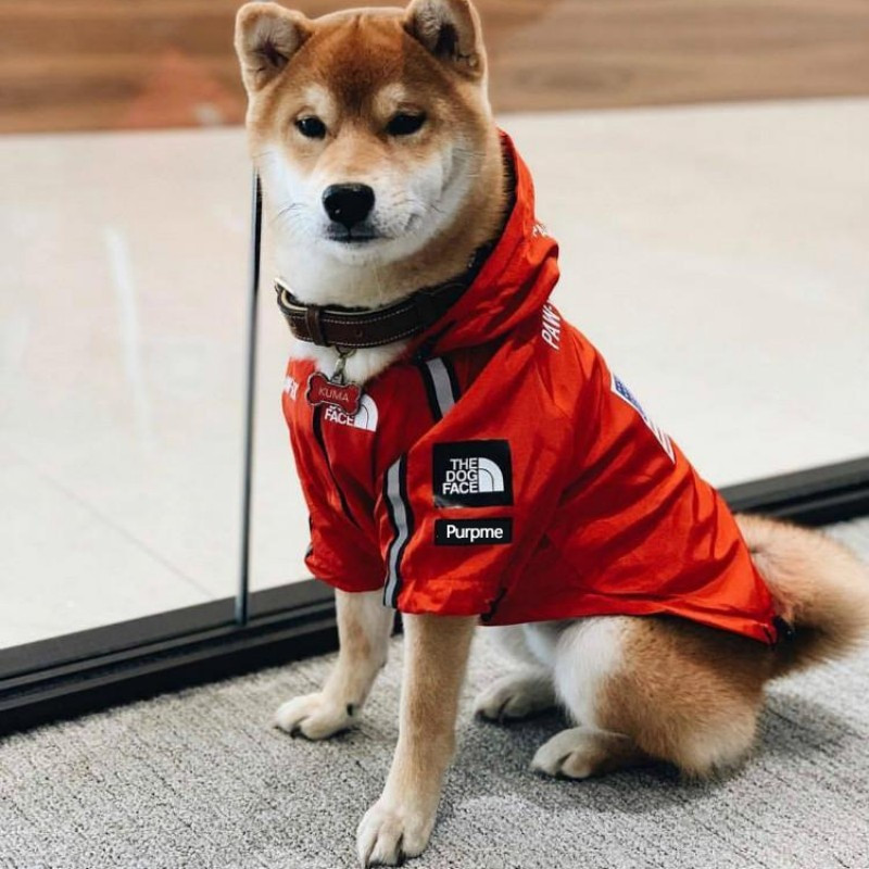 Pet Big Dog Jacket Ρούχα για μικρούς μεσαίους μεγάλους σκύλους, αδιάβροχο παλτό προσώπου πολυτελείας σκύλου, φορεσιά γαλλικού μπουλντόγκ Chihuahua