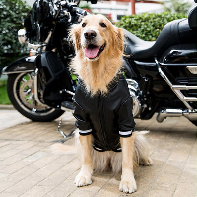 Jachetă din piele la modă pentru animale de companie, iarnă, impermeabilă, haină caldă, îmbrăcăminte îngroșată de toamnă pentru câini mari, pisici, acasă, plimbare în aer liber