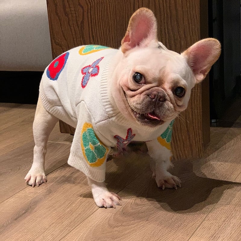 Pulover pentru câini la modă fierbinte, toamnă, iarnă, îngroșat, cald, mic, mijlociu, pentru câini, buldog francez, bichon, teddy, schnauzer