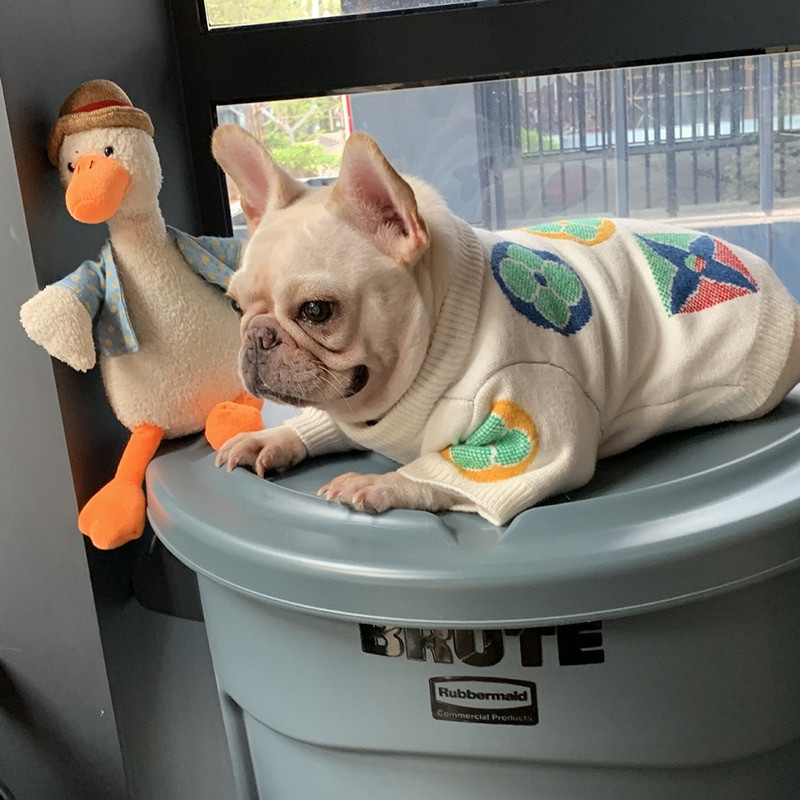 Pulover pentru câini la modă fierbinte, toamnă, iarnă, îngroșat, cald, mic, mijlociu, pentru câini, buldog francez, bichon, teddy, schnauzer