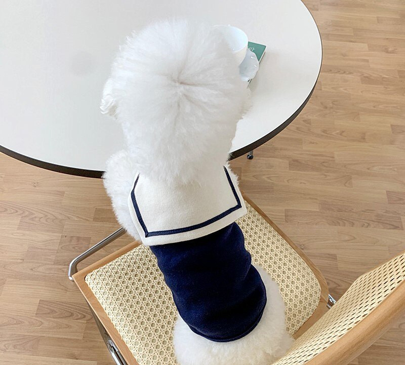 Kevad-suvi uus mereväe kaelarihm Suvine õhuke kutsika koerriided Kassi lemmikloomade kaisukaru Bomei väikesed kutsikariided