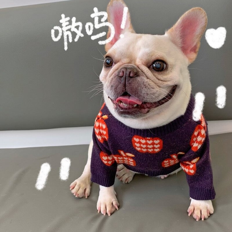 Fialové svetre pre psov pre malých psov, jeseň, outdoorový voľný čas, teplé dizajnové oblečenie pre psov, bradáč, mops, francúzsky buldoček, oblečenie pre domáce zvieratá