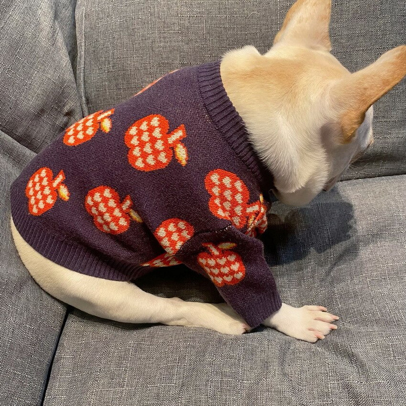 Fialové svetre pre psov pre malých psov, jeseň, outdoorový voľný čas, teplé dizajnové oblečenie pre psov, bradáč, mops, francúzsky buldoček, oblečenie pre domáce zvieratá