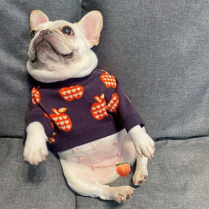Fialové svetre pre psov pre malých psov, jeseň, outdoorový voľný čas, teplé dizajnové oblečenie pre psov, bradáč, mops, francúzsky buldoček, oblečenie pre domáce zvieratá
