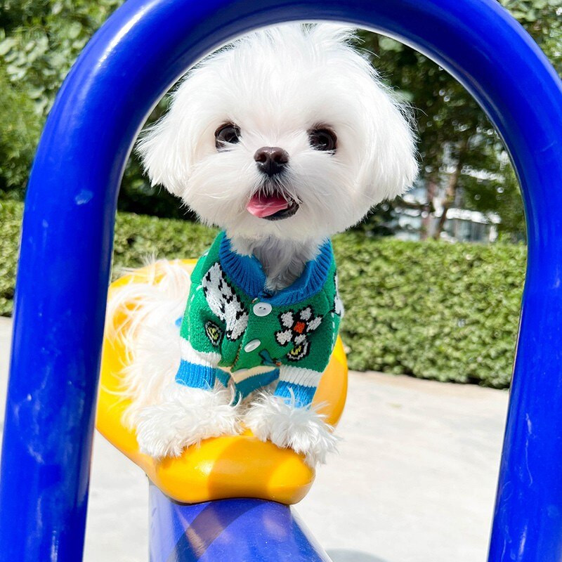 Iarnă verde animal de companie câini haine imprimare caldă câini pulover buldog francez bumbac cățeluș pentru câini mici și mijlocii îmbrăcăminte Chihuahua