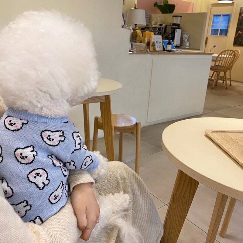 Blue Rabbit Dog Clothes Pleteni pulover za kućne ljubimce Jesenska i zimska odjeća Teddy Cat Donja majica Puppy Pleteni topli pulover XS-XL