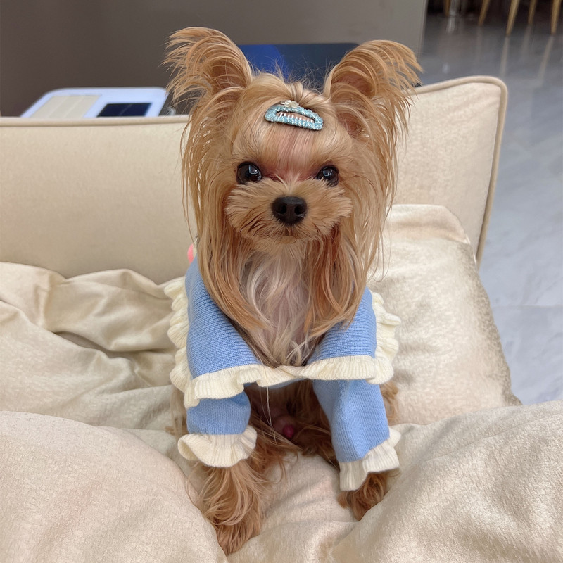 Haine pentru animale de companie Toamnă Iarnă Câine Mici Mediu Pisică Pulover tricotat Lână caldă Drăguț Guler larg Pisicuțe Cățeluș Pulover Pulover