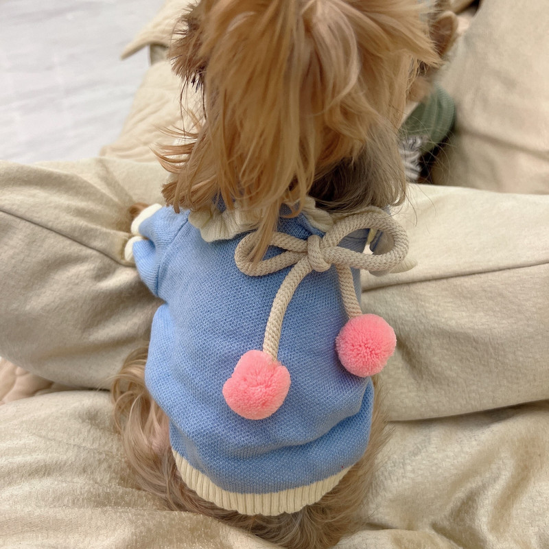 Haine pentru animale de companie Toamnă Iarnă Câine Mici Mediu Pisică Pulover tricotat Lână caldă Drăguț Guler larg Pisicuțe Cățeluș Pulover Pulover