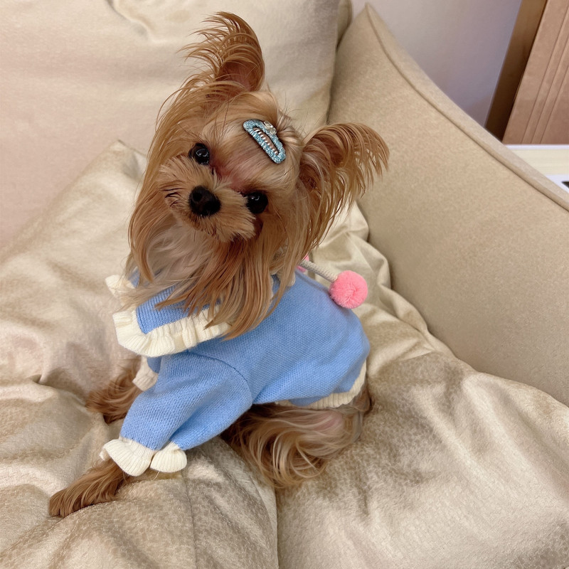 Haine pentru animale de companie Toamnă Iarnă Câine Mici Mediu Pisică Pulover tricotat Lână caldă Drăguț Guler larg Pisicuțe Cățeluș Pulover Pulover