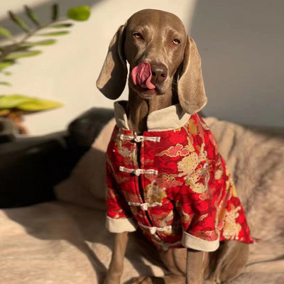 Îmbrăcăminte pentru câini de Anul Nou chinezesc Costum Tang Cheongsam Corgi Husky Labrador Golden Retriever Border Collie haină mare pentru câini haină