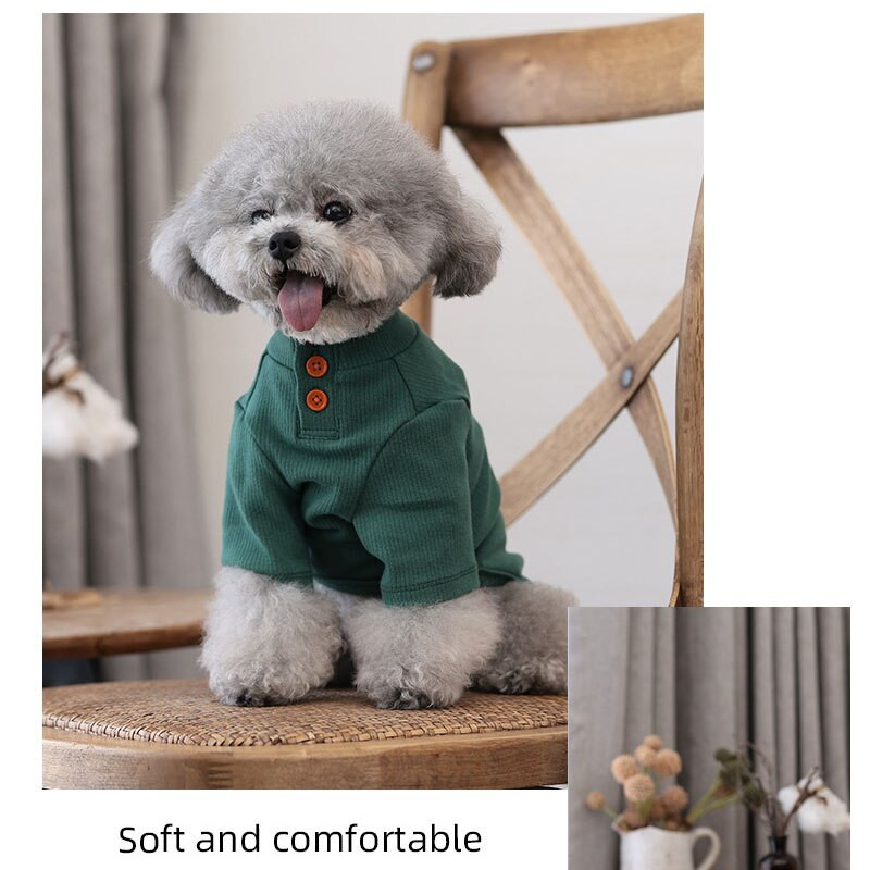 Câini Pulover tricotat Culoare uni Gâtul cu gâtul de jos Cămașă Toamnă Primăvară Teddy Chihuahua Animal de companie Haine noi